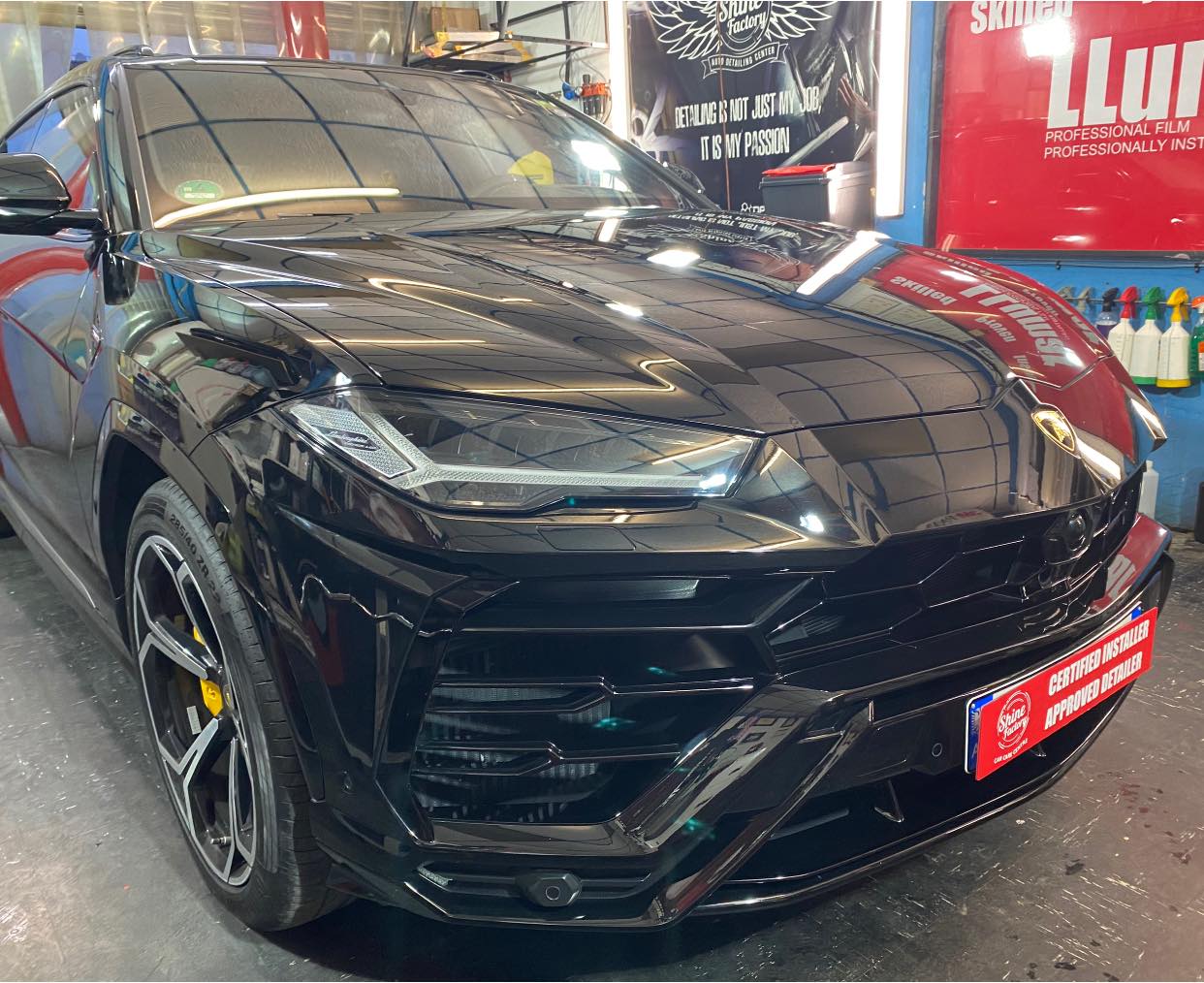 Window Tinting,Paint Correction - Protection 